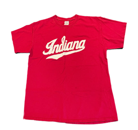 Vintage Indiana T-Shirt - L